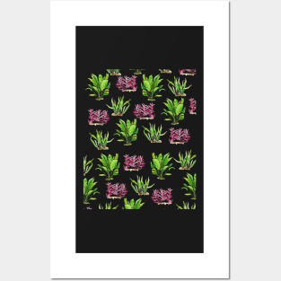 Aquarium Plant Series Triptych 1 Posters and Art